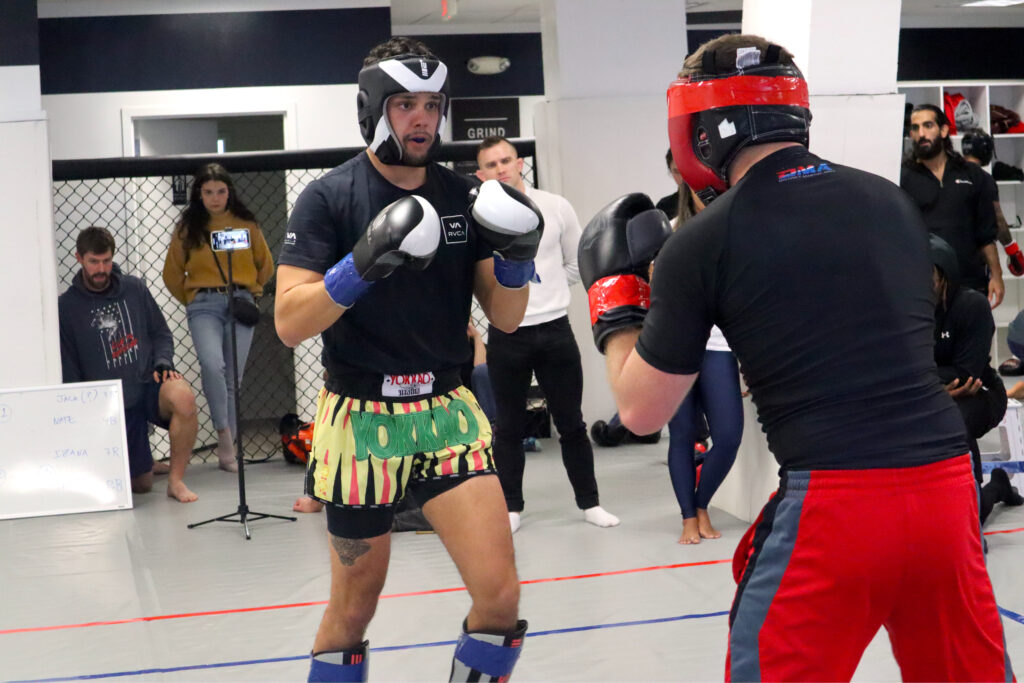 Muay Thai techniques