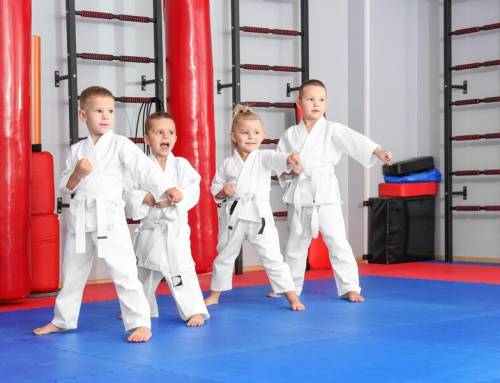 The Ultimate Guide to Kids Mixed Martial Arts